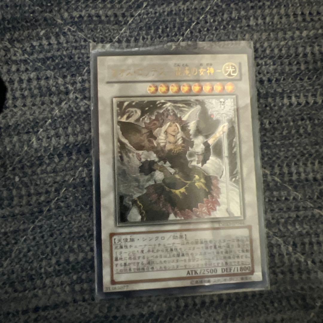 スカーレッド・ノヴァ・ドラゴン 遊戯王】 スカーレッド・ノヴァ・ドラゴン SPHR/スー の通販 - カーナベル