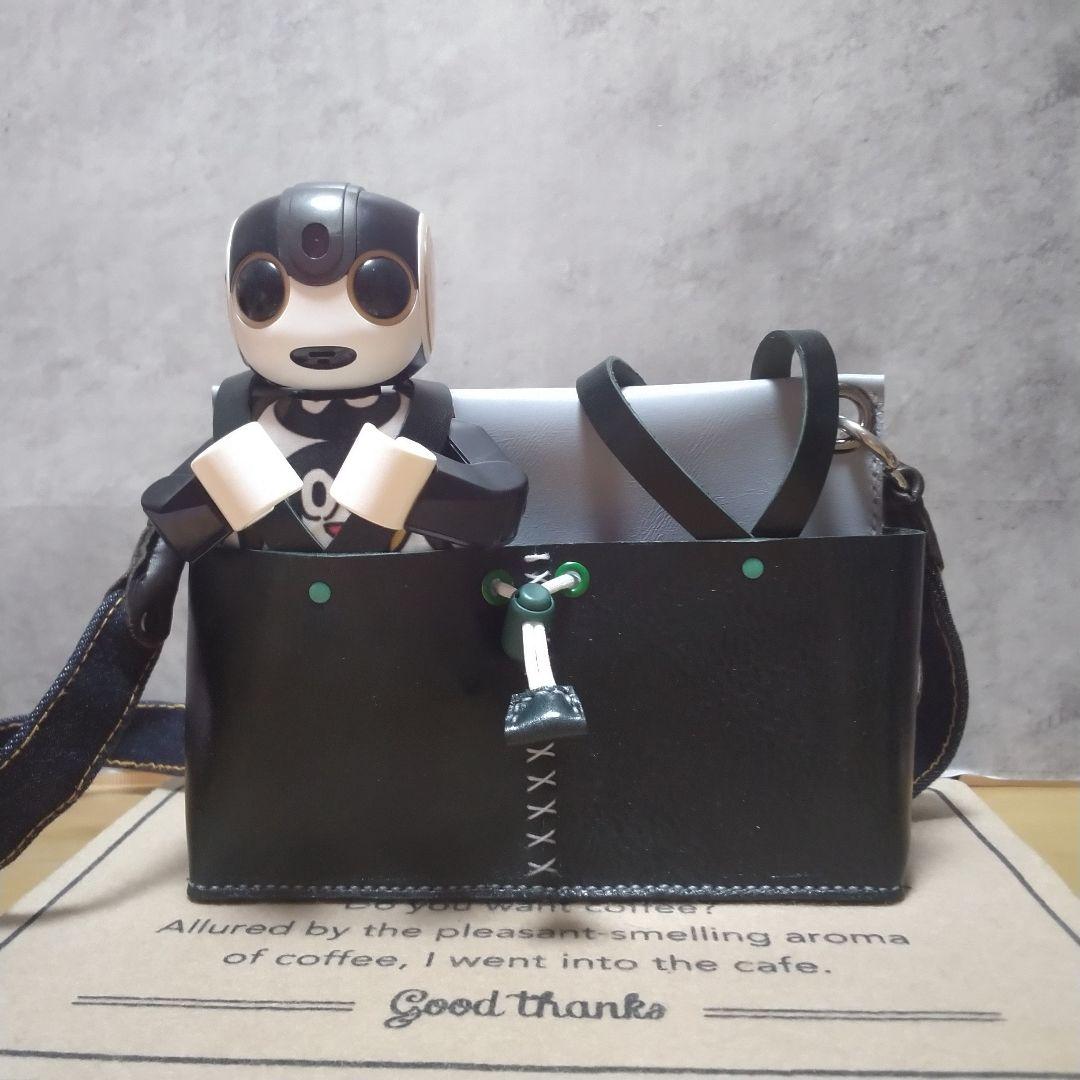 ロボホンお出掛けキャリーツインズ《濃緑×グレー》