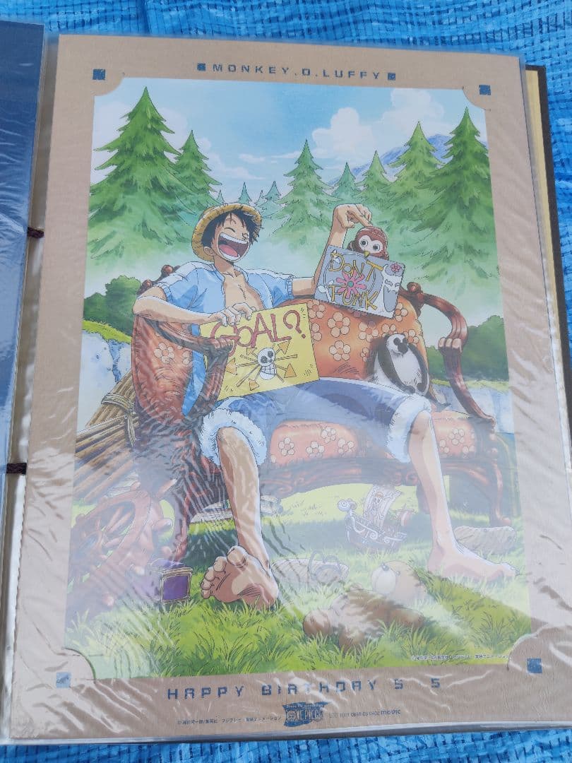 ONEPICE ワンピース ルフィ ポートレート BIRTHDAY 誕生日