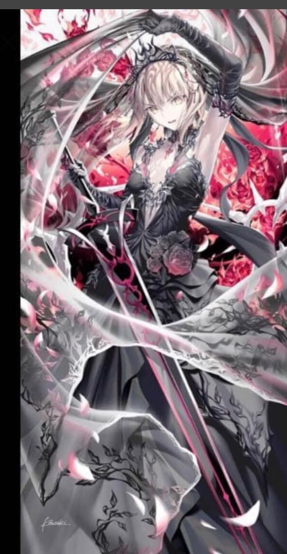 Fate fgo 光崎　セイバーオルタ　等身大　タペストリー　コミケ Amazon.co.jp: Fate fgo 光崎 セイバーオルタ 等身大 タペストリー