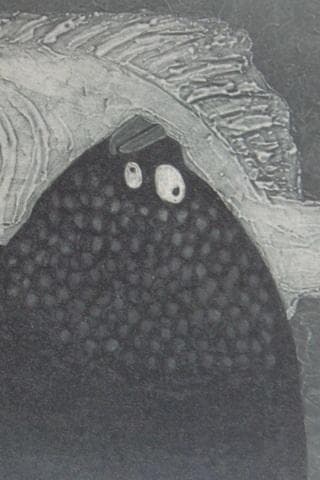 斎藤清、「凝視」、希少な画集の額装画、オーダーマット付・日本製新品額