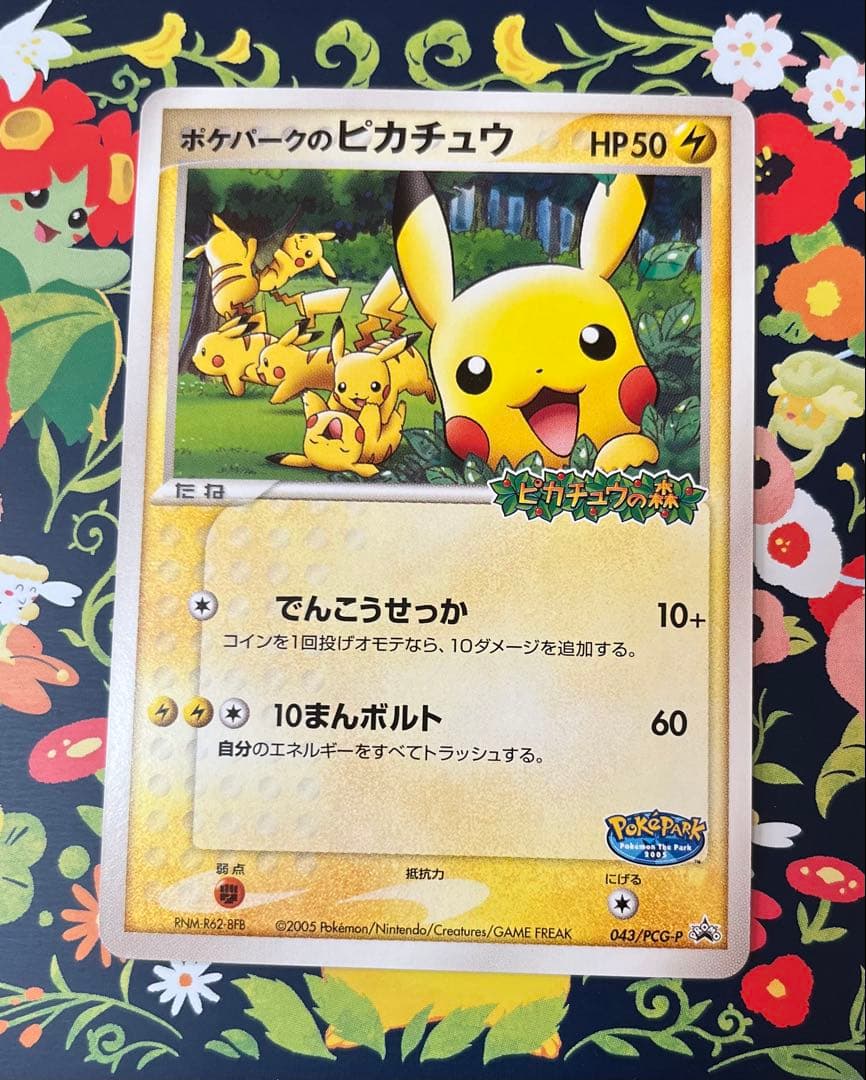 ポケモンカード　ポケパークのピカチュウ プロモ 043/PCG-P ポケパークのピカチュウ【P】{043/PCG-P}