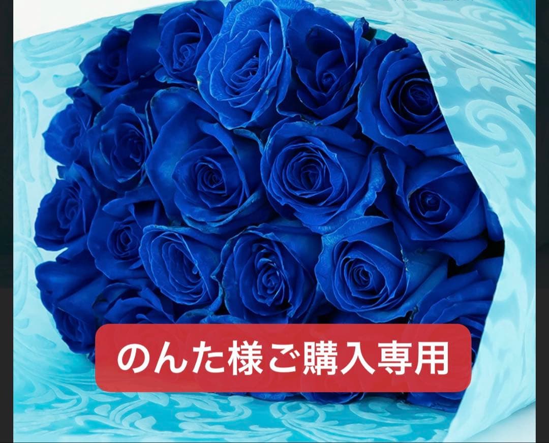 のんた様のご購入専用