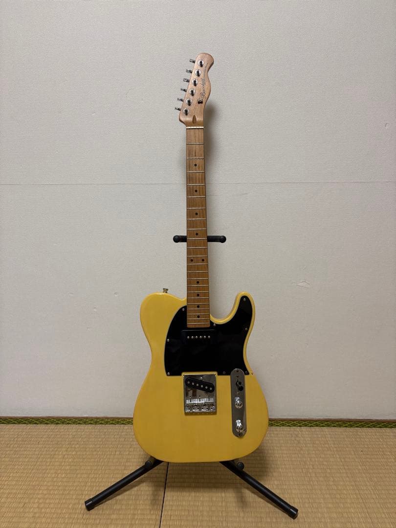 Bacchus テレキャスター 弦・ギターケース付き