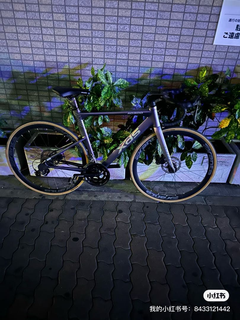 XDSのAD300ロードバイク パープル