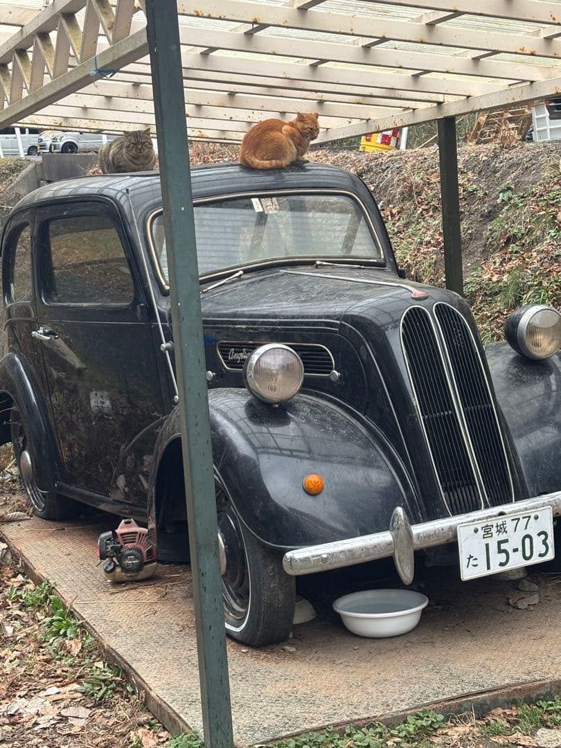 岡座右衛門さま専用 Z/X -Zillions of enemy X- ユニゾンドライブ | TCG / サプライ| 株式