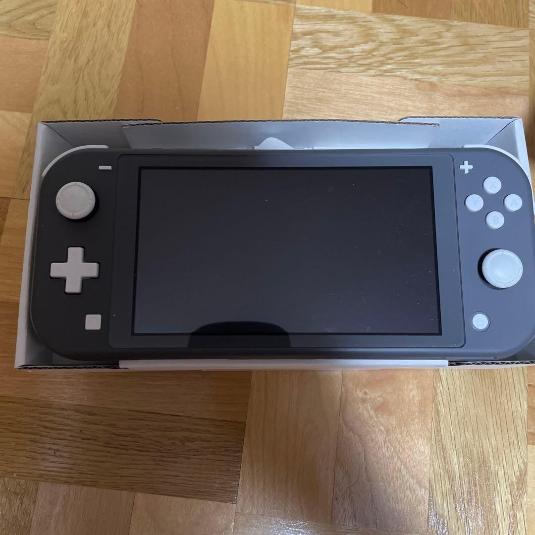 Nintendo Switch Lite グレー 本体 ジャンク品