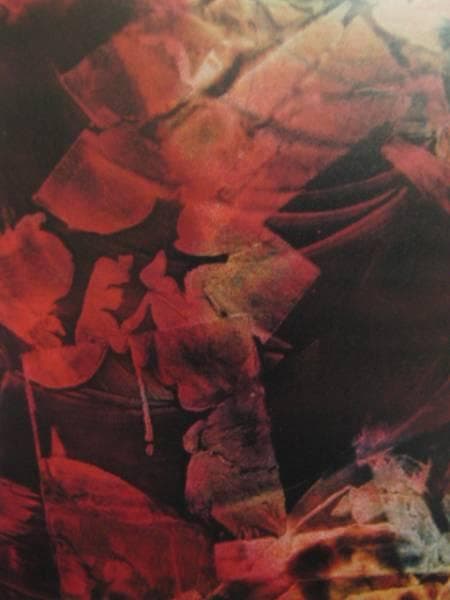 崔和傳、AGUR 2、希少な額装用画集より、美品、新品額装付