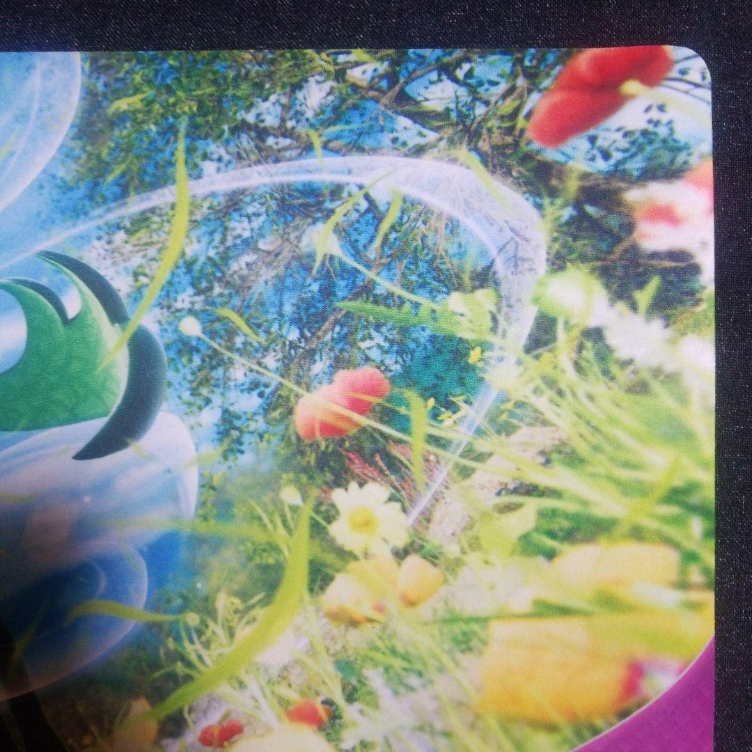 公式/海外限定】マスカーニャ CHAMPION チャンピオン プレイマット