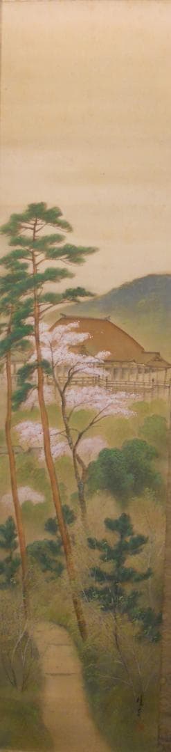 掛け軸 峰嶺 作 『 清水之桜 』 絹本 希少 軸装 茶道具 掛軸 です