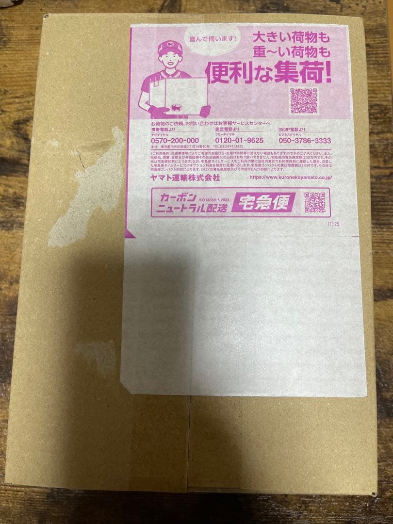 MEGAドリームex シュリンク付1BOX(ポケセン産)