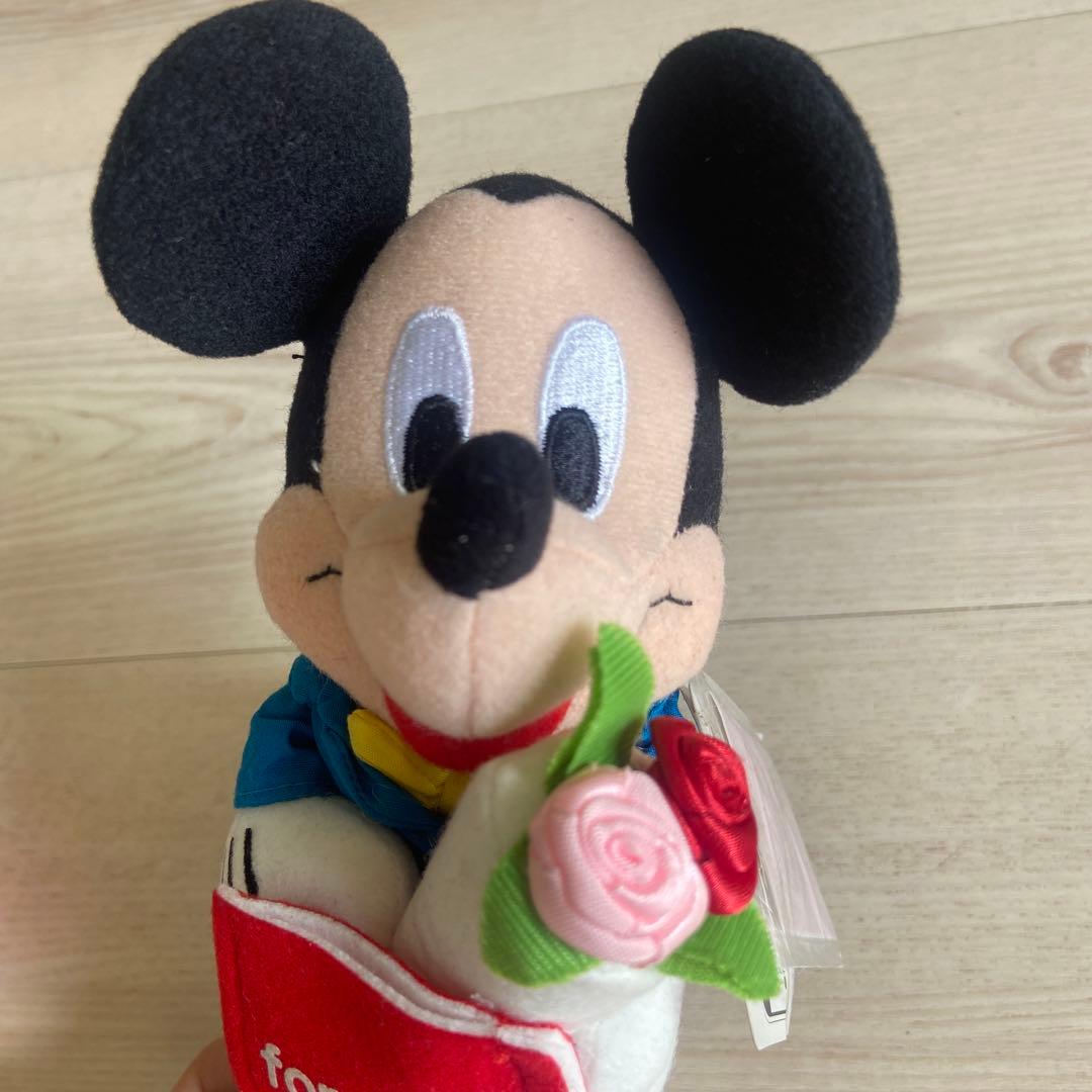 ディズニー SEGA ミッキー ミニー ぬいぐるみ 非売品 当時物 花言葉