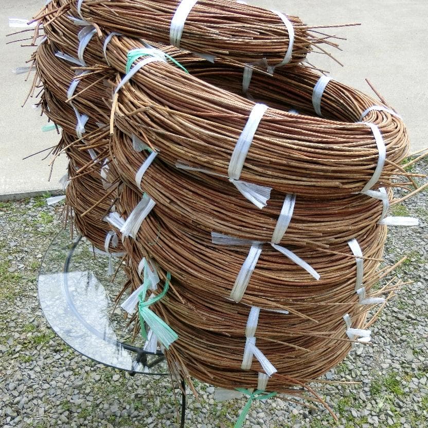 黄色いくまさん様専用 青森岩木山採取 あけび蔓 150cm～ 15kg 1 - メルカリ