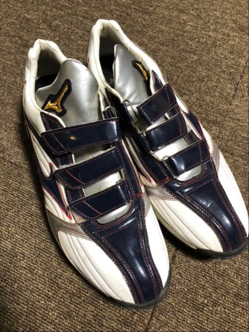 ミズノプロ　オーダートレーニングシューズ　28㎝