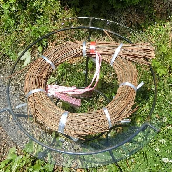 みっくん 青森県岩木山採取　あけび蔓　長 短 各1kg　合計2kg 練習用 みっくん 青森県岩木山採取 あけび蔓 長 短 各1kg 合計2kg 練習用 なつ