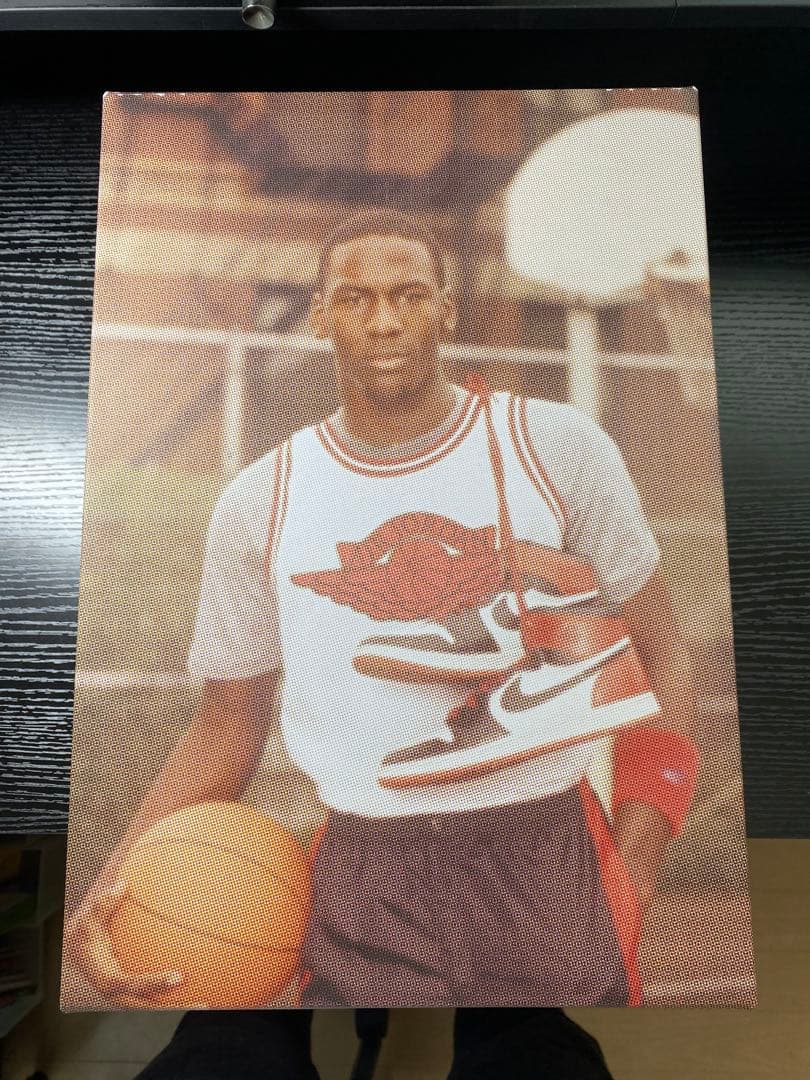 靴 Nike Air Jordan 1 \