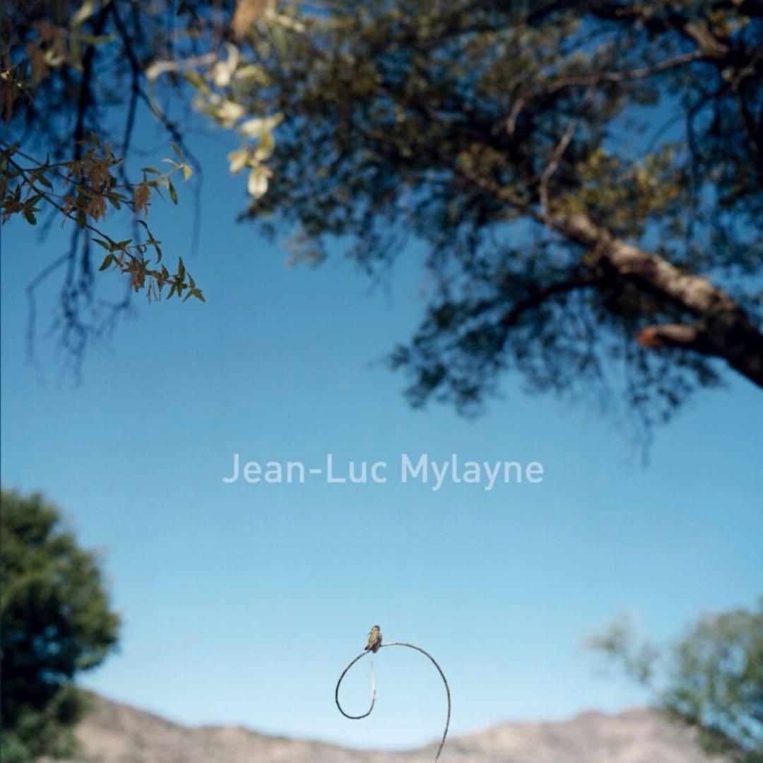 希少 Jean Luc Mylayne ジャン＝リュック・ミレーヌ 野鳥 写真集