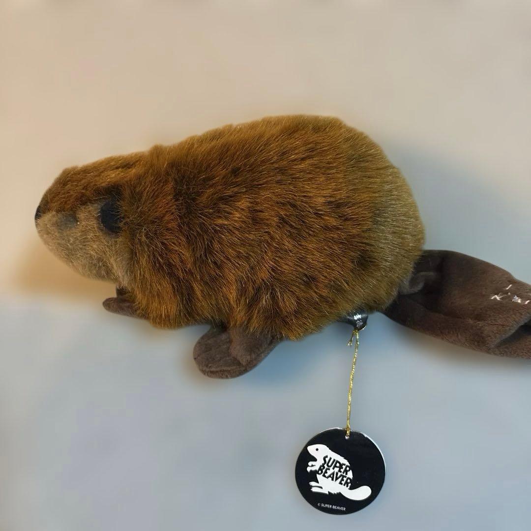 SUPER BEAVER スーパービーバーちゃん ORIGINAL HOODIE & スーパービーバーちゃん 受注販売開始！！｜SUPER
