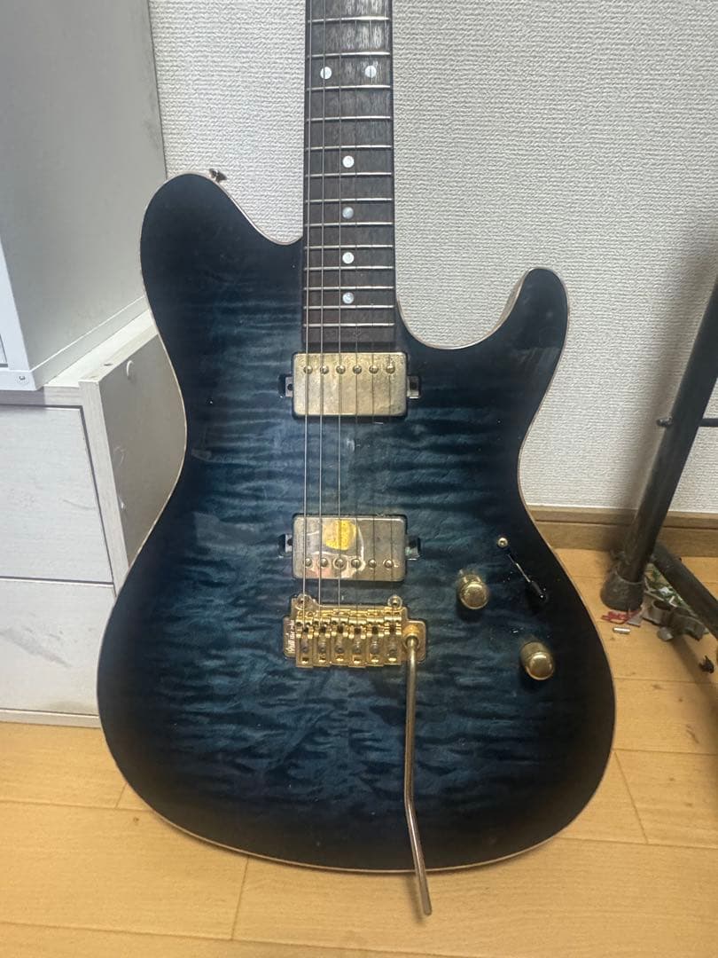 Sugi guitars DS496 IR オリジナルセミハード付き