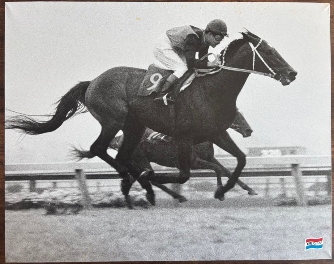 シンザン　昭和40年天皇賞 競馬パネル 日刊スポーツ