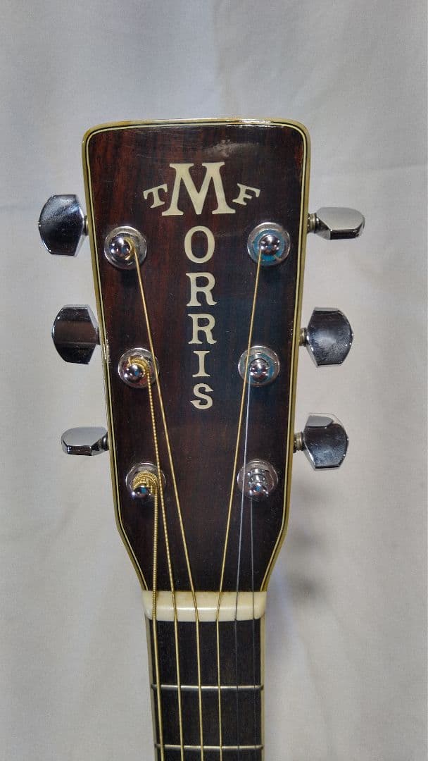 ギ*5様 Morris 　TF W-50