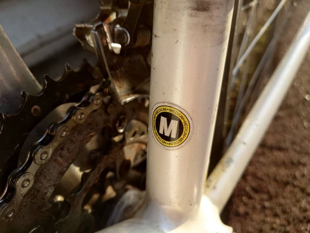 千葉市引取限定】schwinn fast back ロードバイク - メルカリ