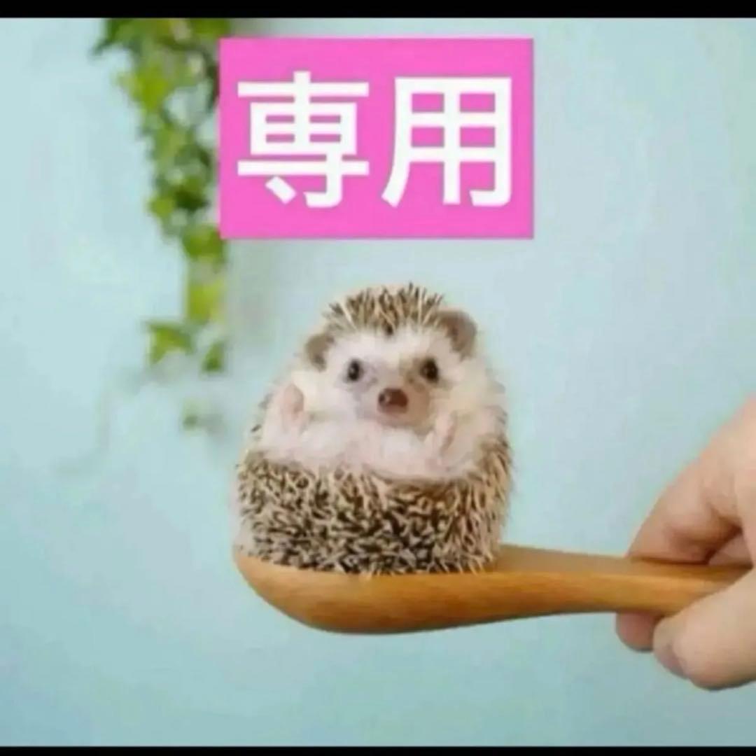 4点、Rセラム、カプチュールアイセラム、カプチュールアイクリーム、スノーセラム