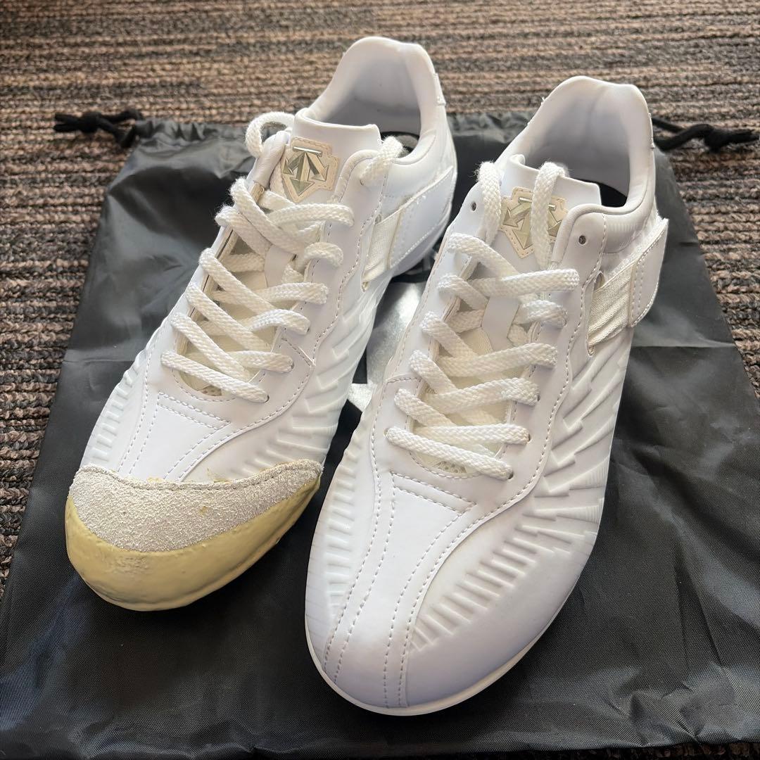 DESCENTE ホワイト スパイク 収納袋付き