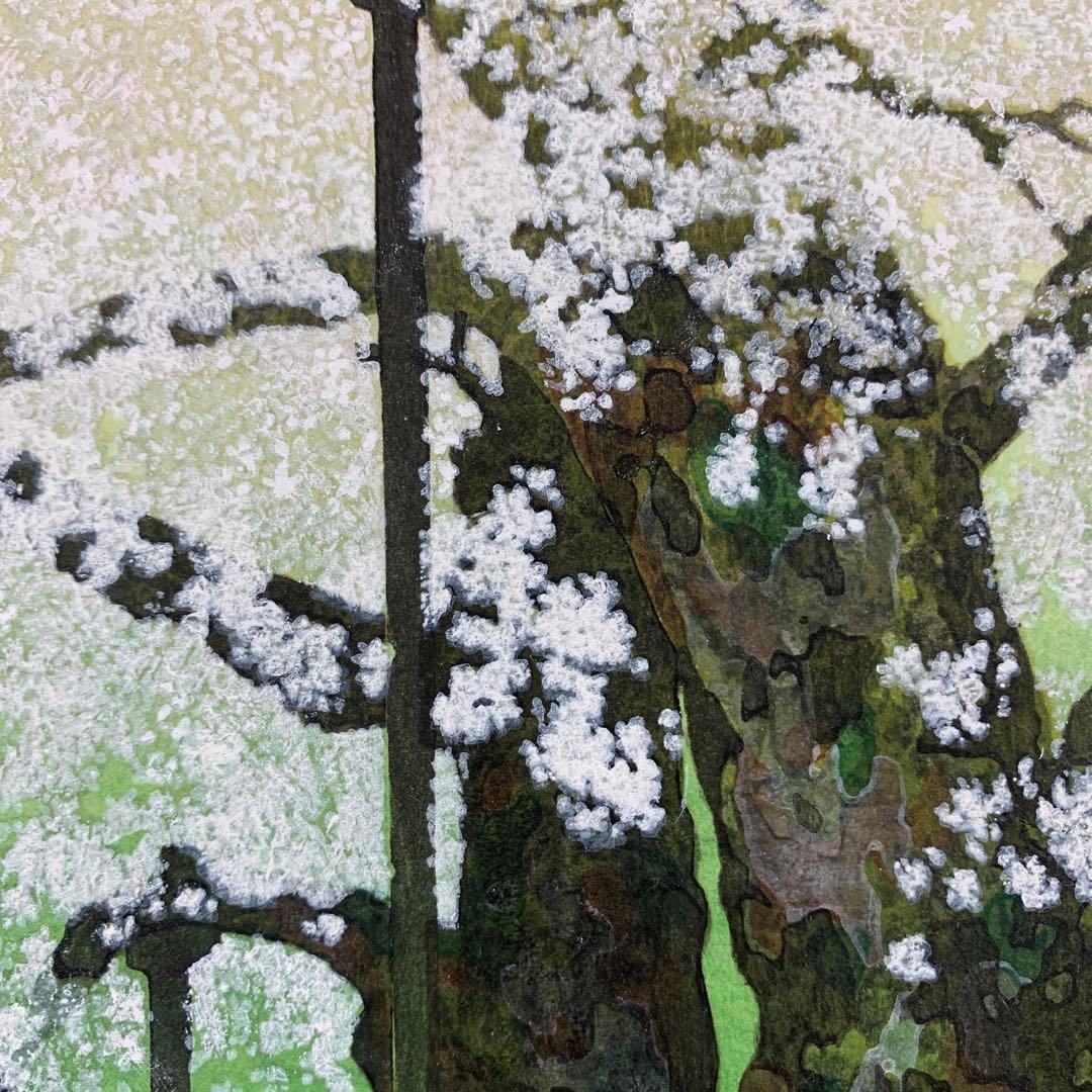美品 掛け軸 佐野せいじ筆「荘川桜」木版 直筆サイン入り - メルカリ