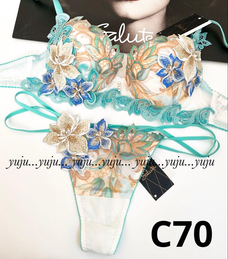 ワコール/サルート 80G 新品タグ付 P-upブラTバック C70 IV