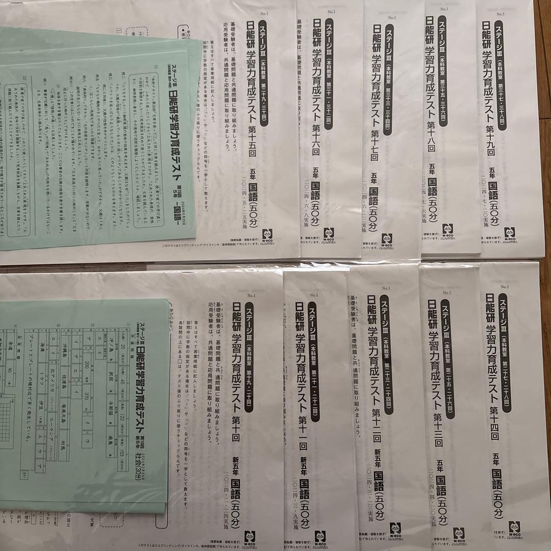 日能研 育成テスト 2024年前期10-19回