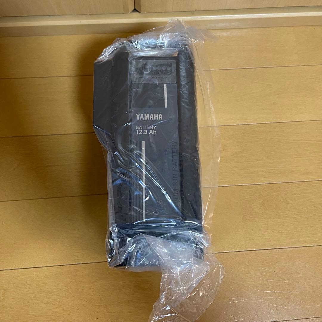 電動アシスト自転車　バッテリー