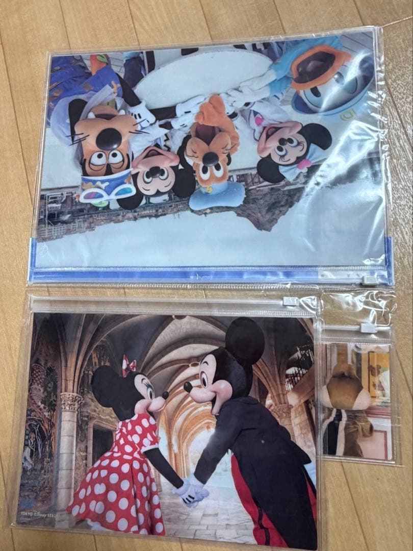 ディズニー イマジニングザマジックセット