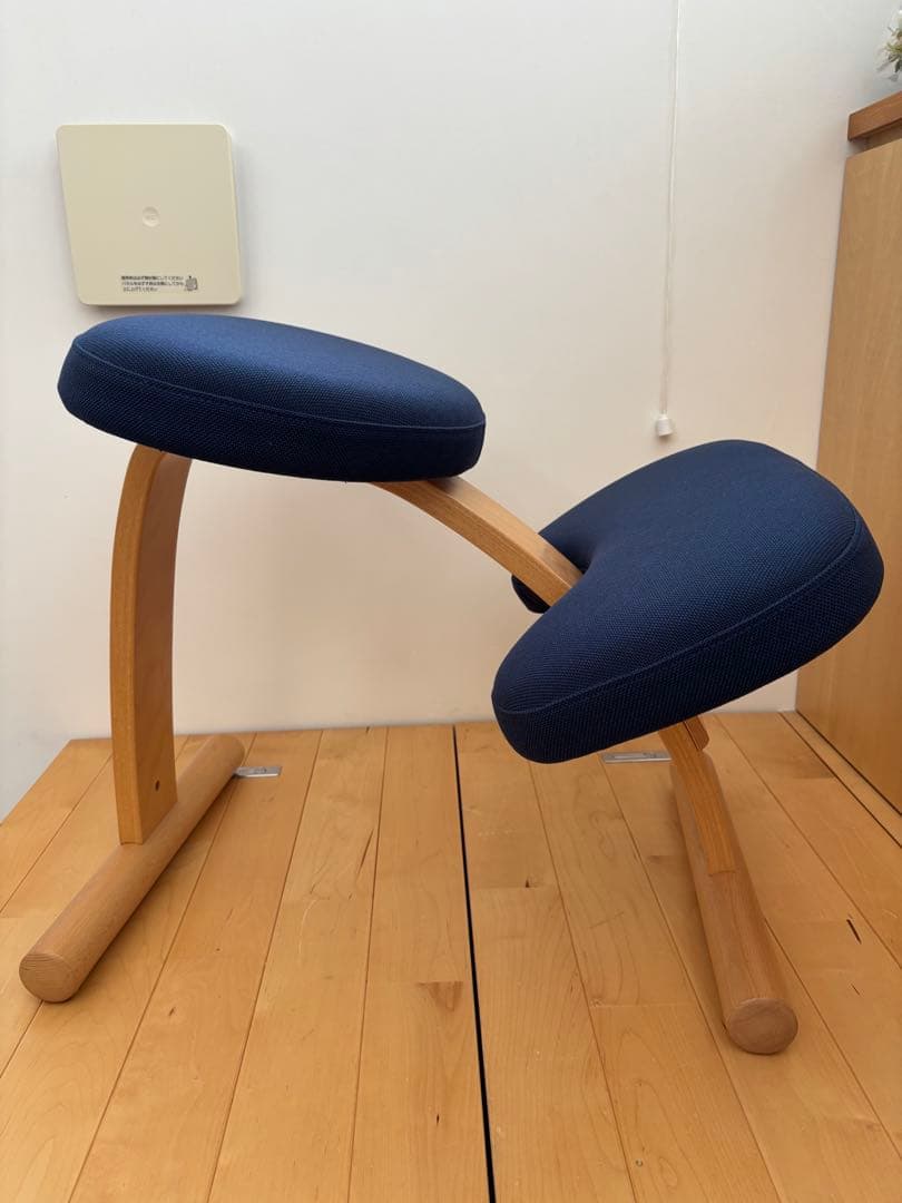 サカモトハウス バランスイージー バランスチェア 通常フレーム