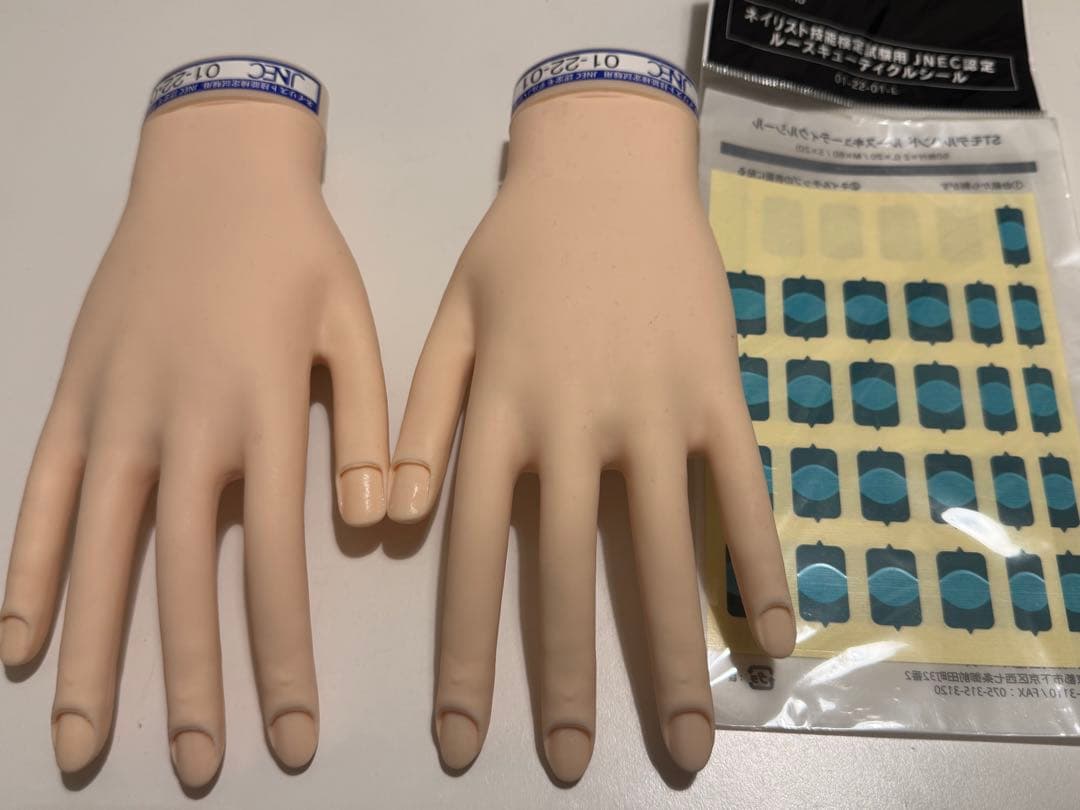 ネイリスト 技能検定試験用 JNEC 認定モデルハンド