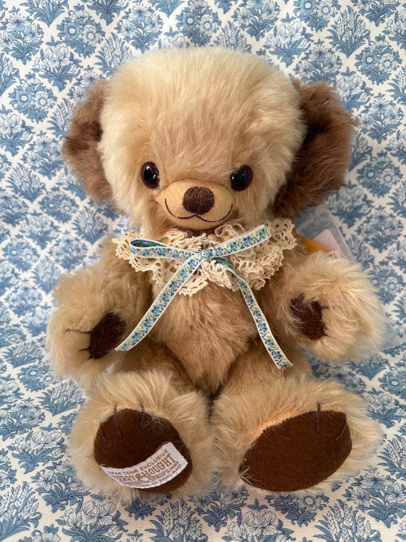 希少　阪急梅田限定　チーキーポートベロー　12体限定　メリーソート