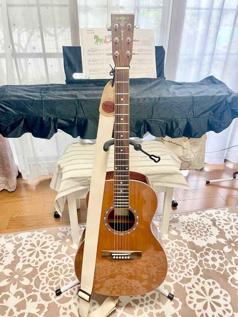 アコースティックギター　ARIA ADL-01 N GOTOHぺグ アリア Aria ADL- 01 N / パーラーギター エレアコ ハードケース付