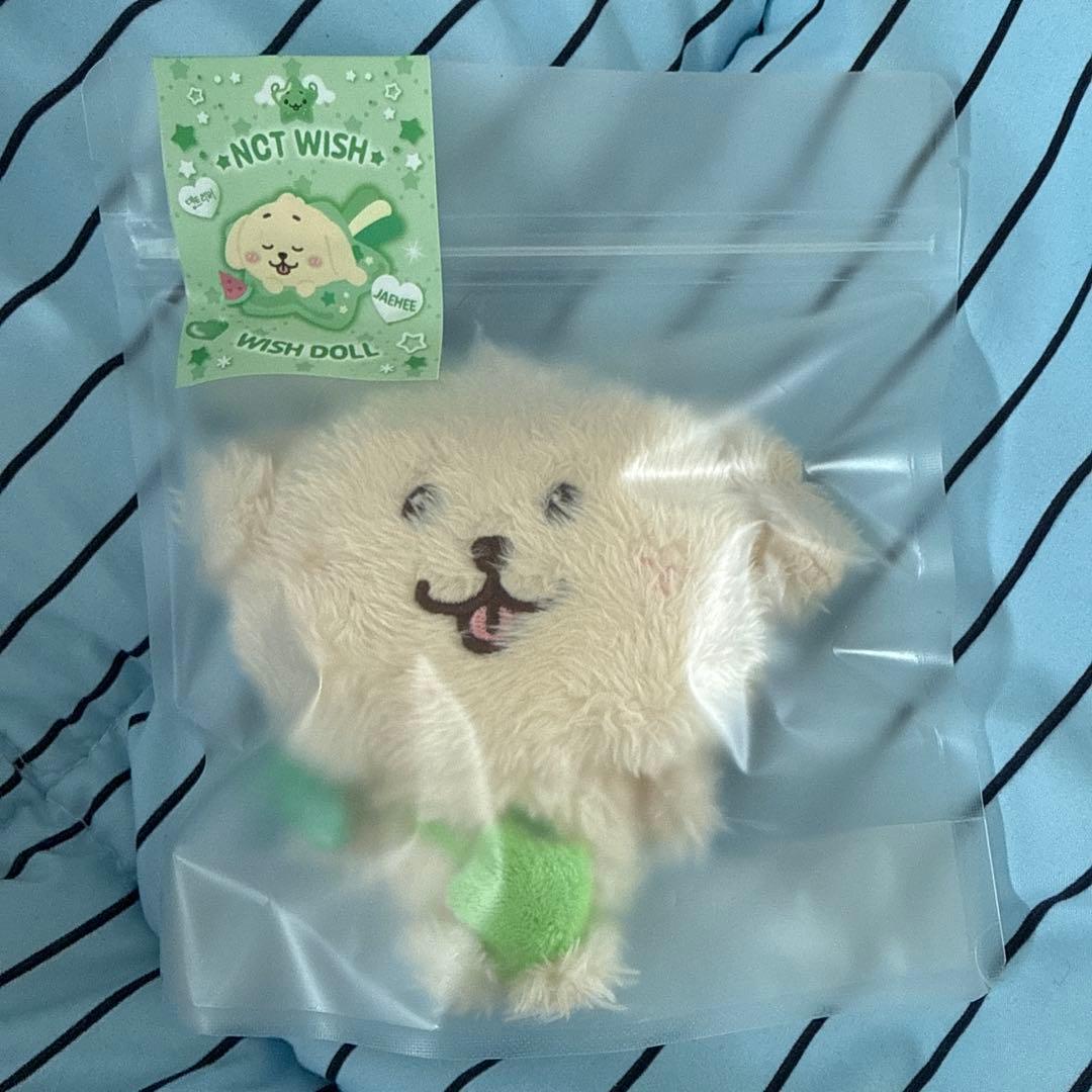 NCT WISH DOLL ジェヒ デントリバー ウィッシュドール - メルカリ