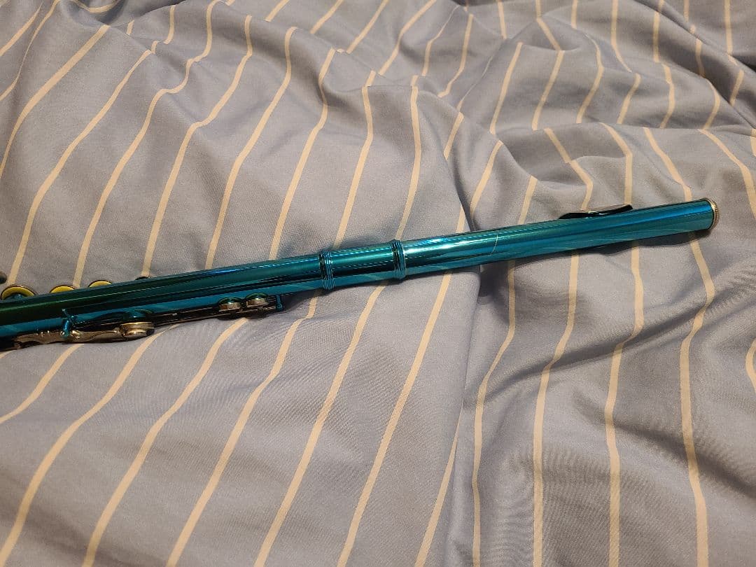 Eastar フルート本体 ケース付き メタリックブルー - メルカリ