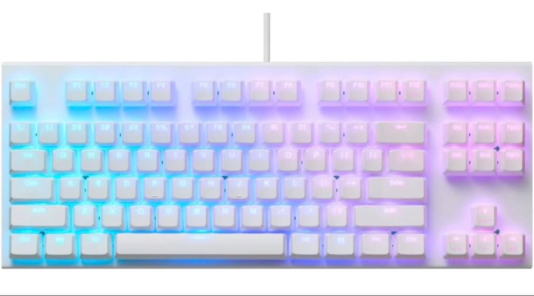 REALFORCE GX1 キー荷重45g ゲーミングキーボード REALFORCE GX1 45g荷重(英語配列) ブラック