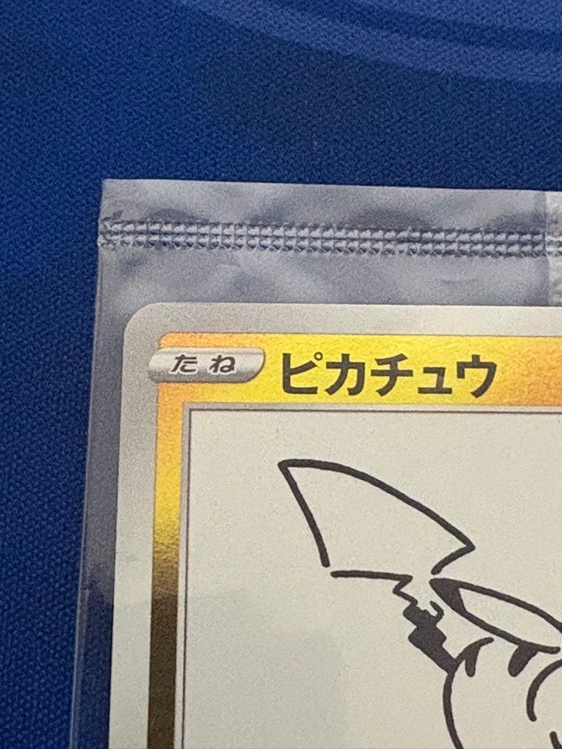 ポケカポケモンカードyunagabaピカチュウ プロモ新品未開封ブイズ