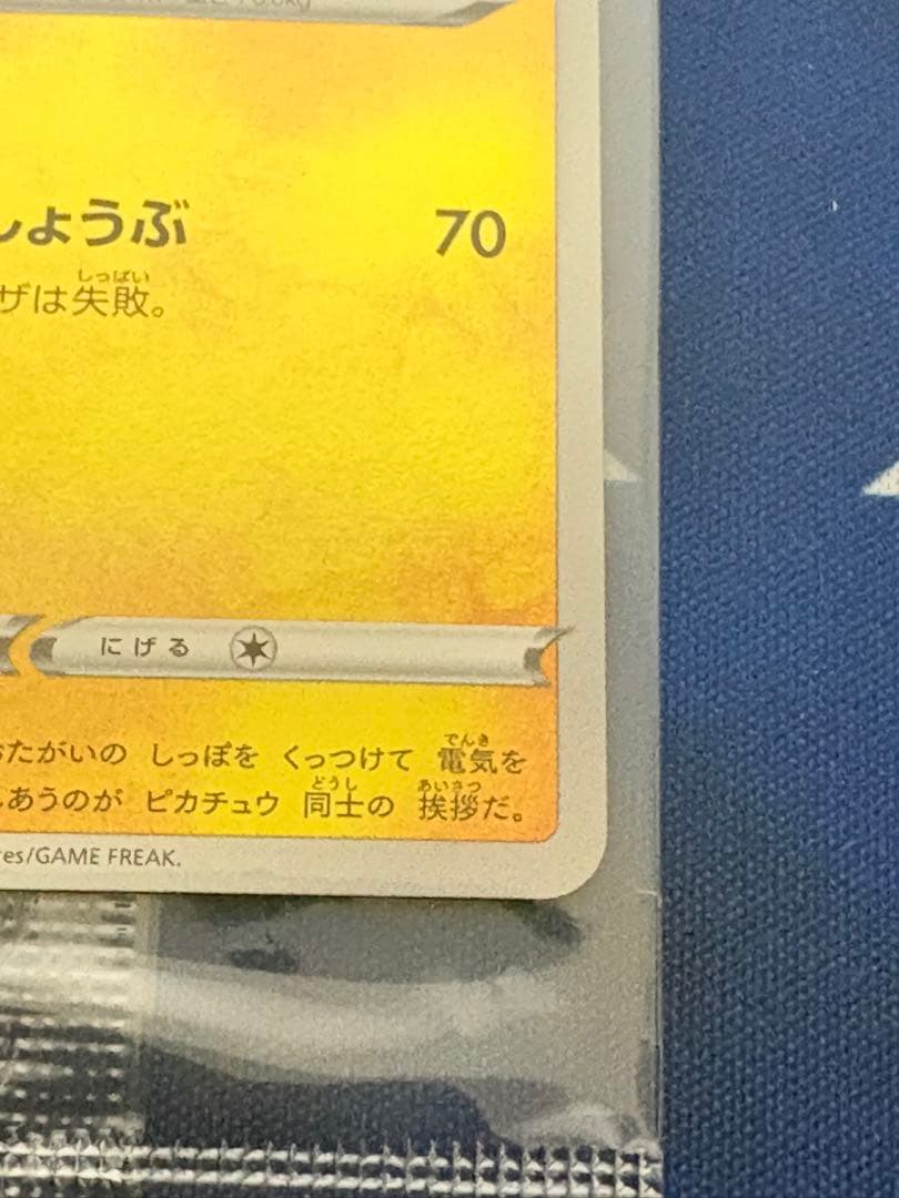 ポケカポケモンカードyunagabaピカチュウ プロモ新品未開封ブイズ