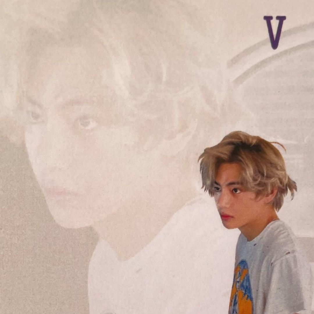 ❤︎ ❤︎ ❤︎ Vさん専用 ❤︎ ❤︎ ❤︎ 在… 9 ＊