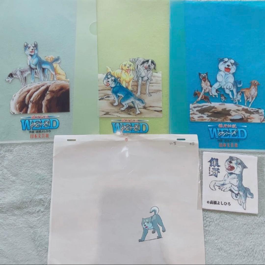 犬キャラクタークリアファイル4枚セット 79ab062570d2383a49a29bab5bb09c