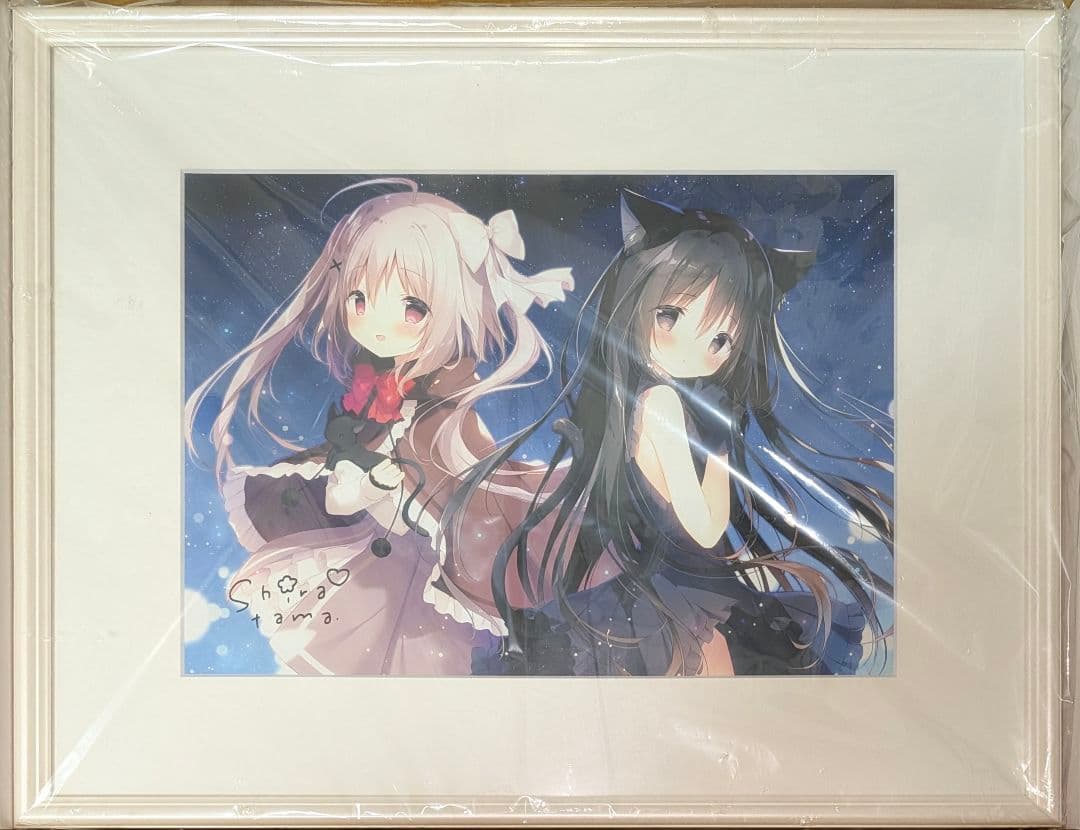 しらたまこしらたま FANBOX継続特典直筆サイン入り星空鉄道とシロの旅