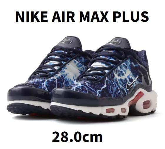 NIKE AIR MAX PLUS 28.0cm HV2323-400 マップラ