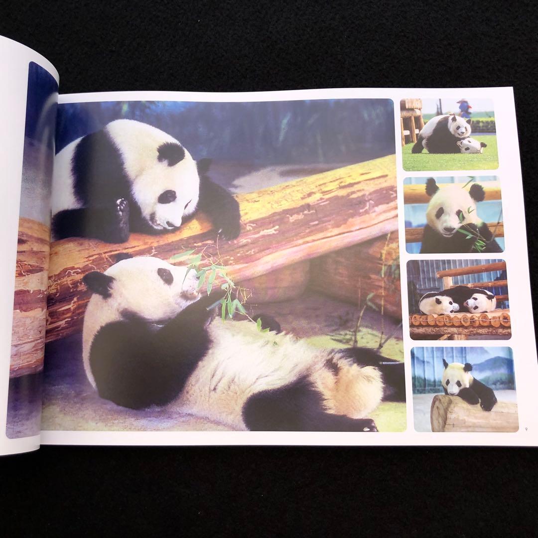 ジャイアントパンダ 永明30歳記念 写真集「永明からつながるスマイル