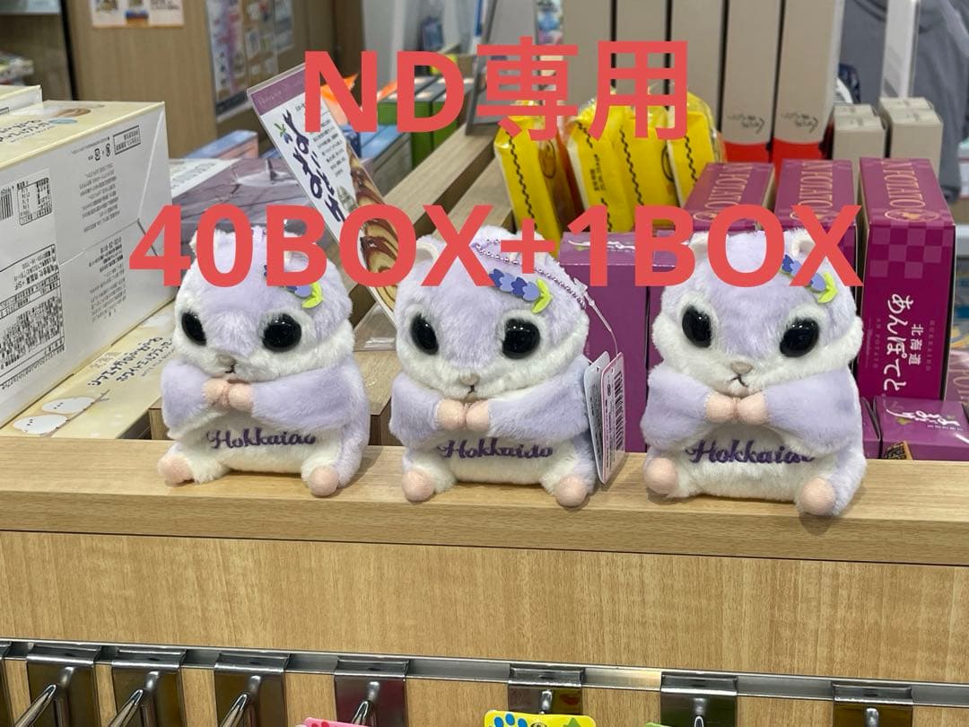 ポケモンカードゲーム ND40BOX+1BOX