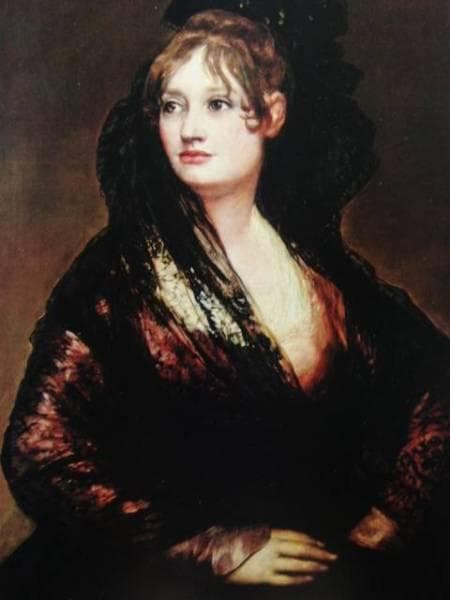 フランシスコ・デ・ゴヤ、イザベル・コボス・デ・ポールセル婦人、希少