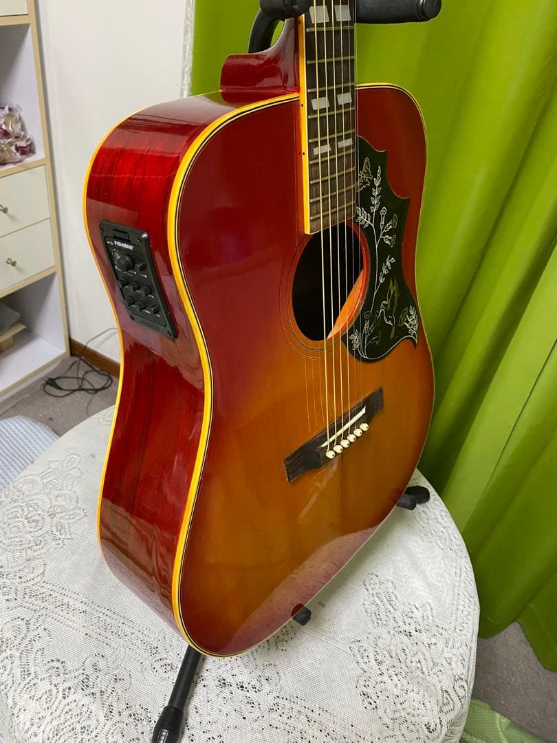 新春特価 カントリーしようぜ！ProMartin ハミングバード エレアコ